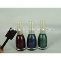 2012 new design magnetic nail polish